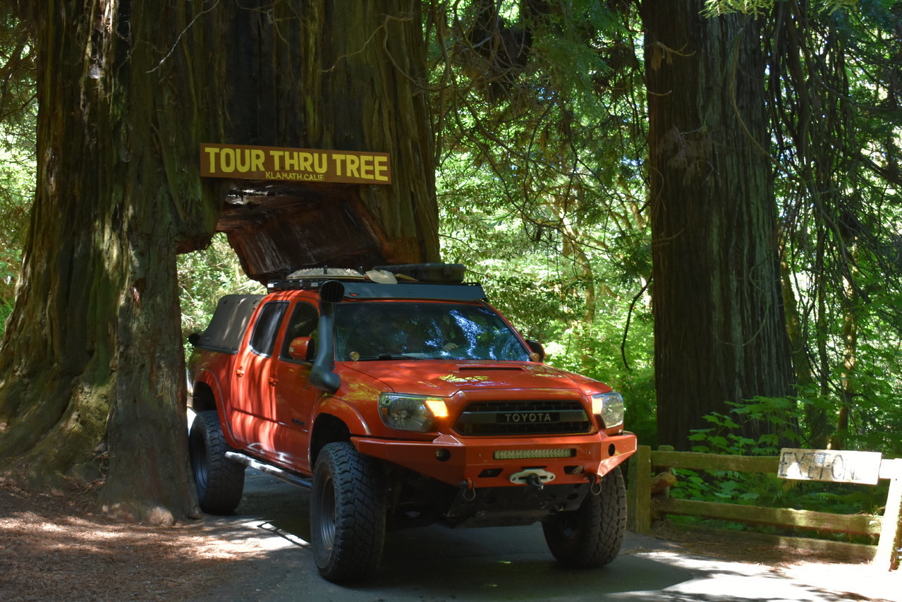 DSC_0038.jpg