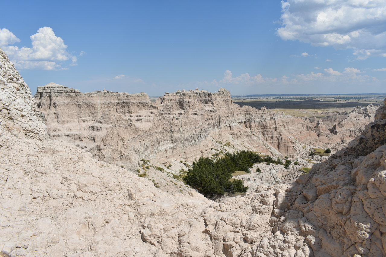 DSC_0038.jpg