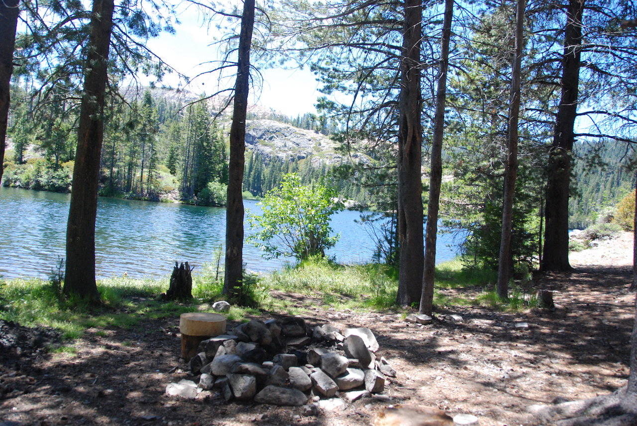 DSC_0038.jpg