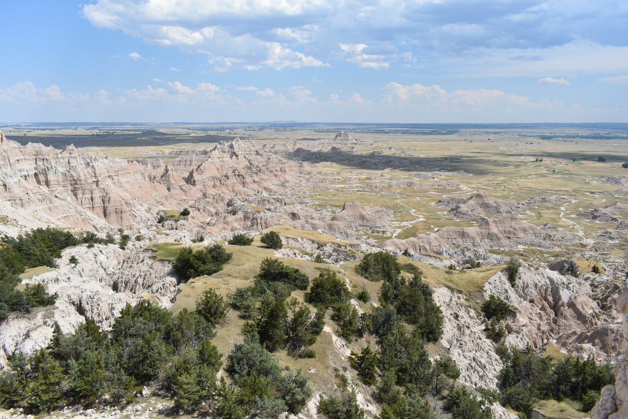 DSC_0039.jpg