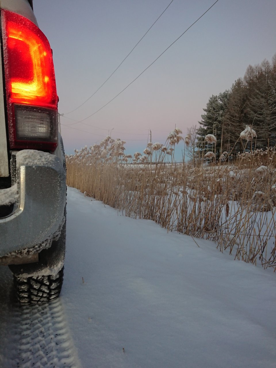DSC_0039.jpg