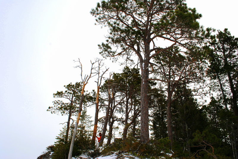 DSC_0040.jpg