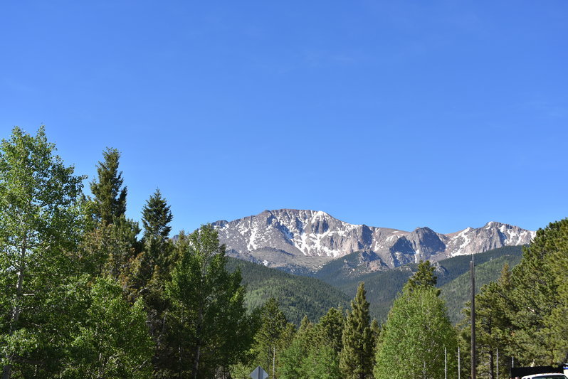 DSC_0040.jpg