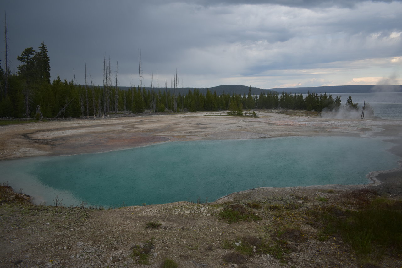DSC_0040.jpg