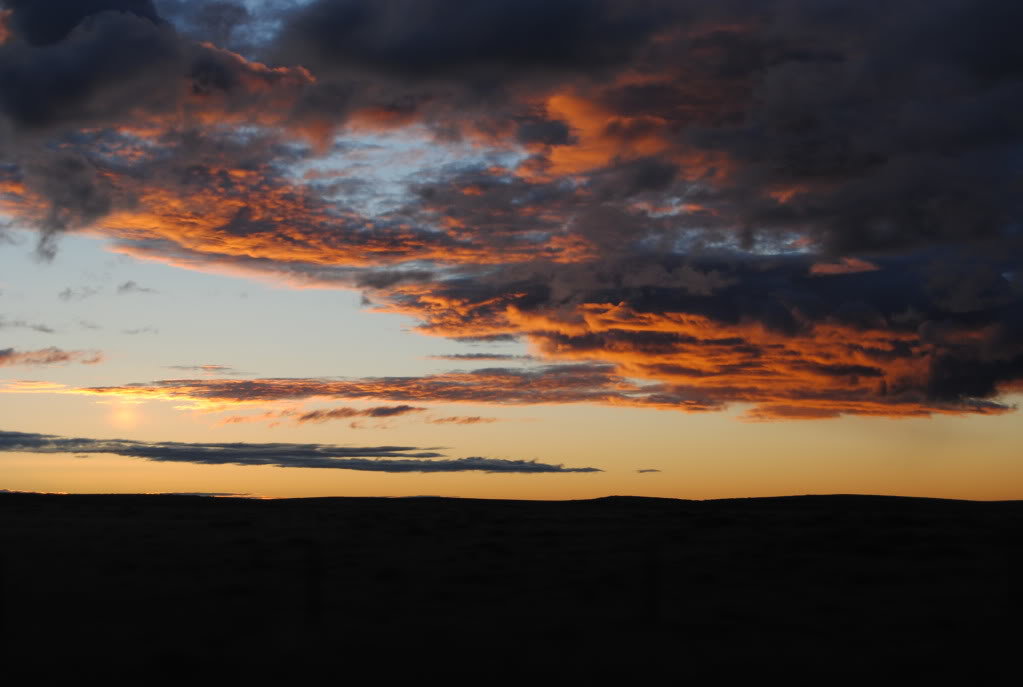 DSC_0040_51ad8b746c44b533b1ed74b7f152e37511139ebe.jpg