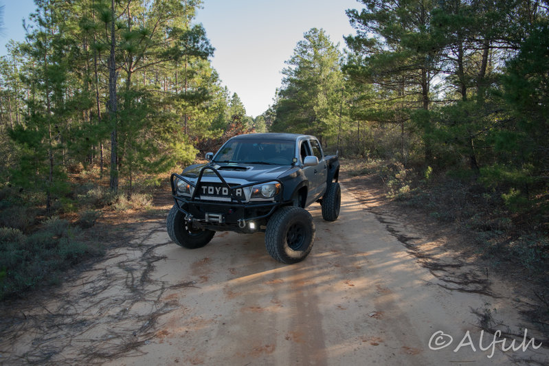 DSC_0041-2.jpg