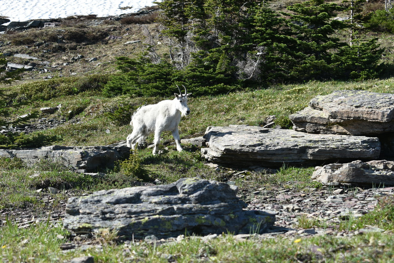 DSC_0041.jpg