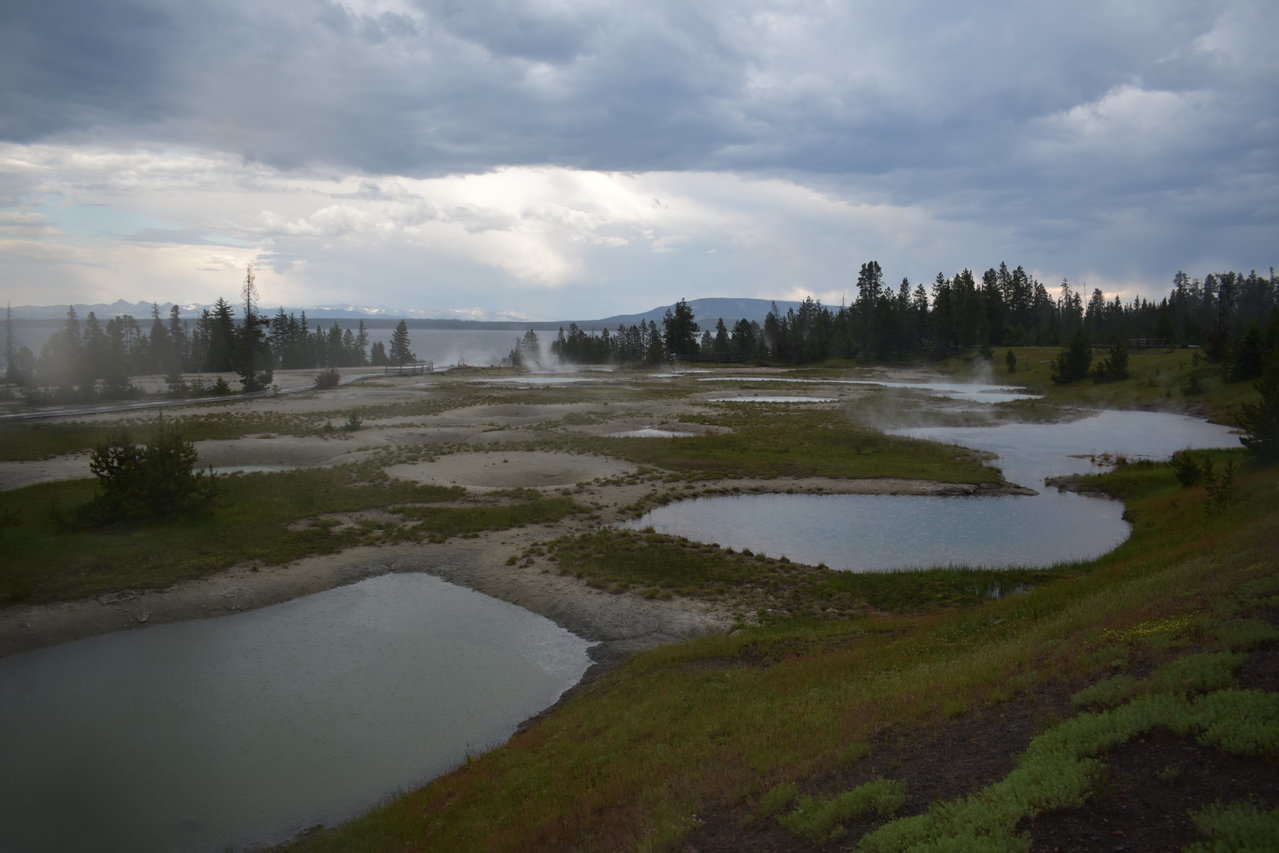 DSC_0041.jpg