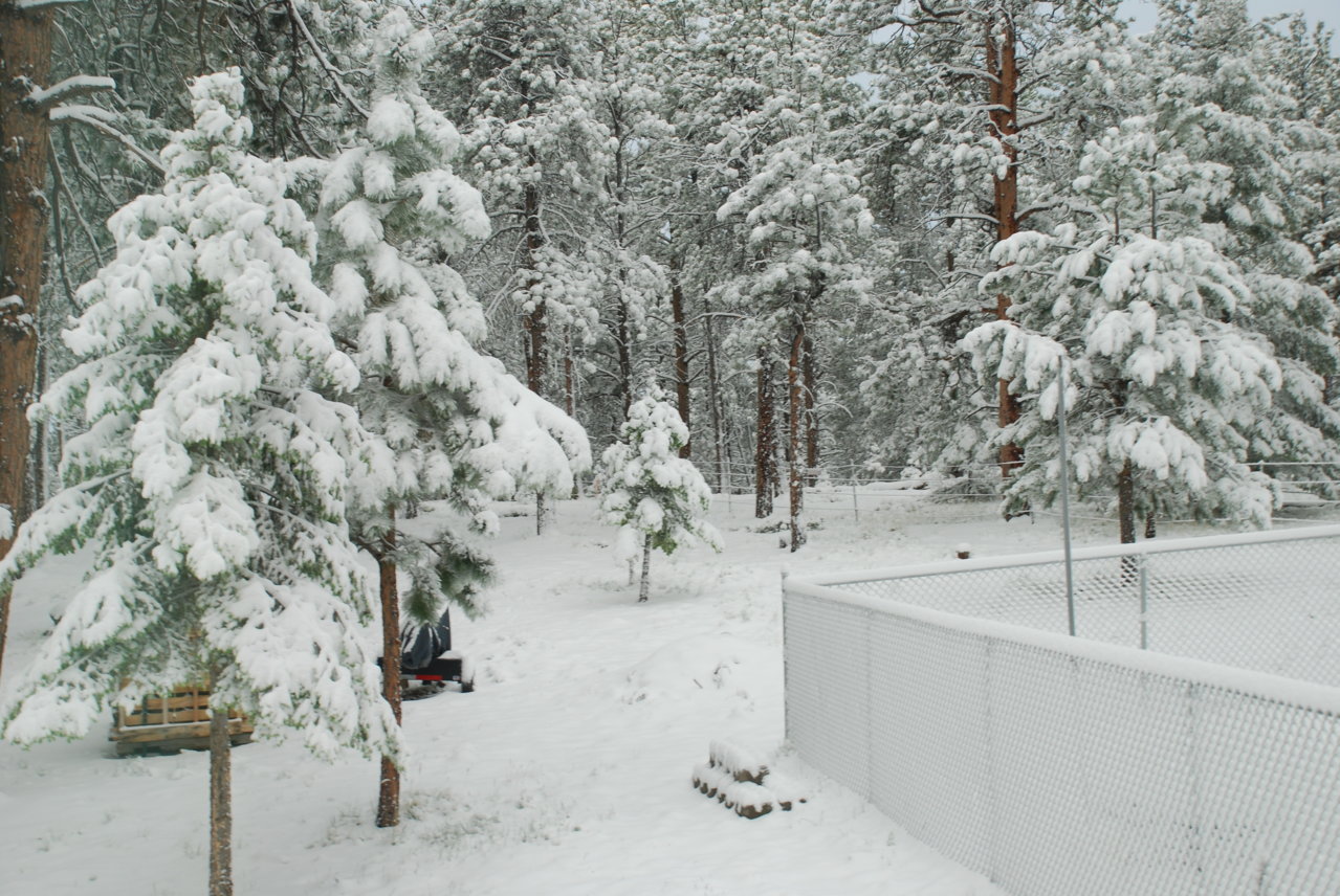 DSC_0041.jpg