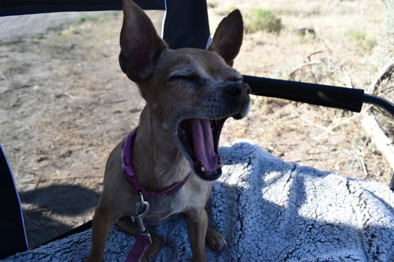 DSC_0041.jpg