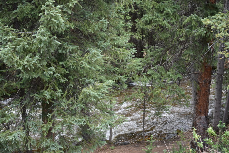 DSC_0042.jpg