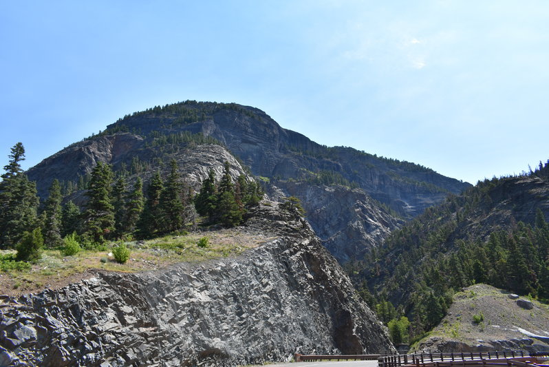 DSC_0042.jpg