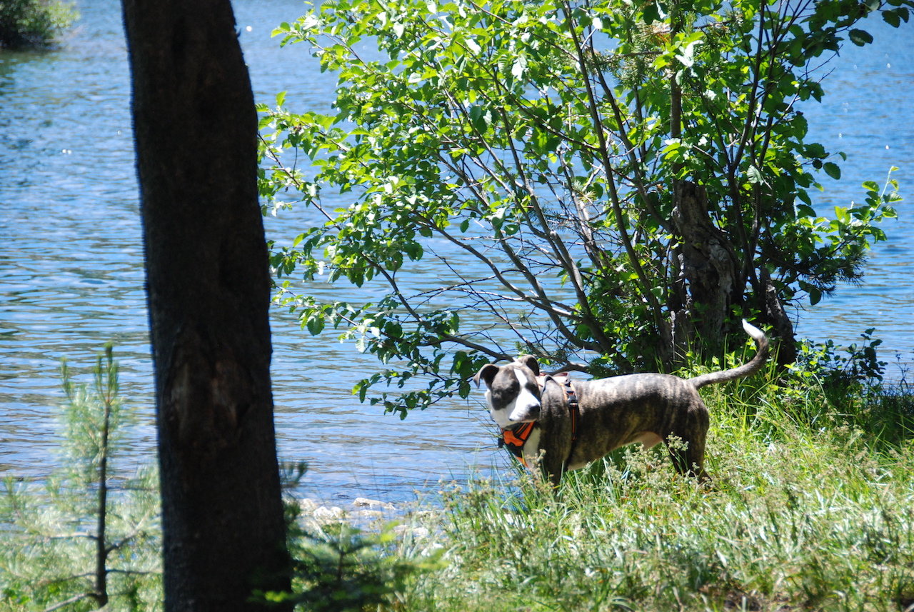 DSC_0042.jpg