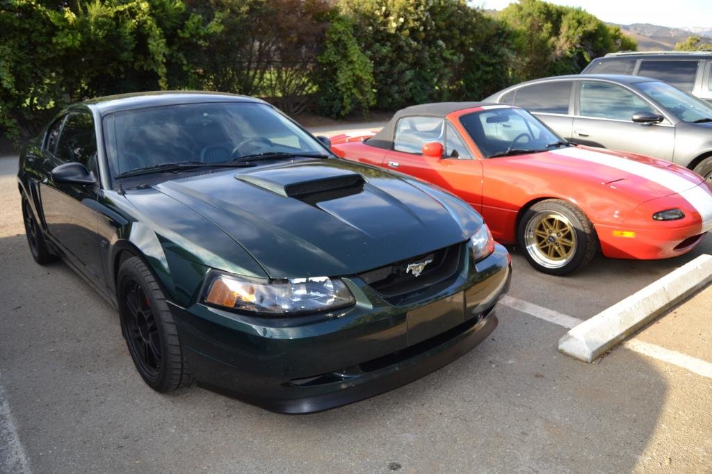DSC_0042_zps453e61c3.jpg