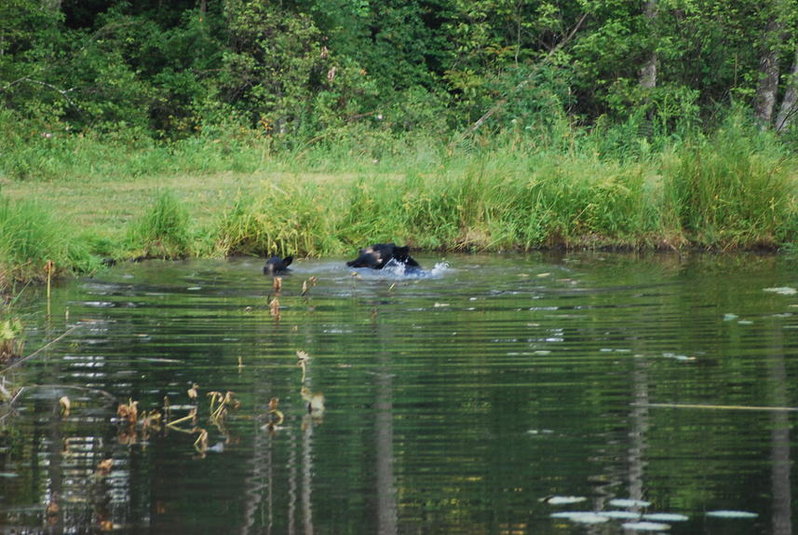 DSC_0043.jpg