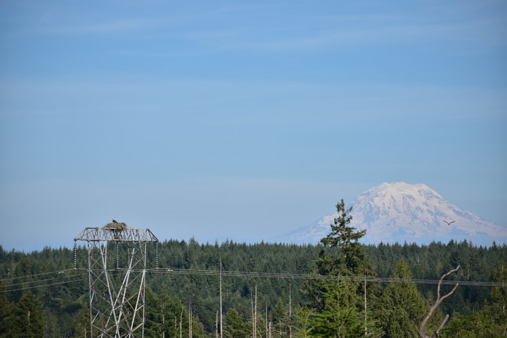 DSC_0043.jpg