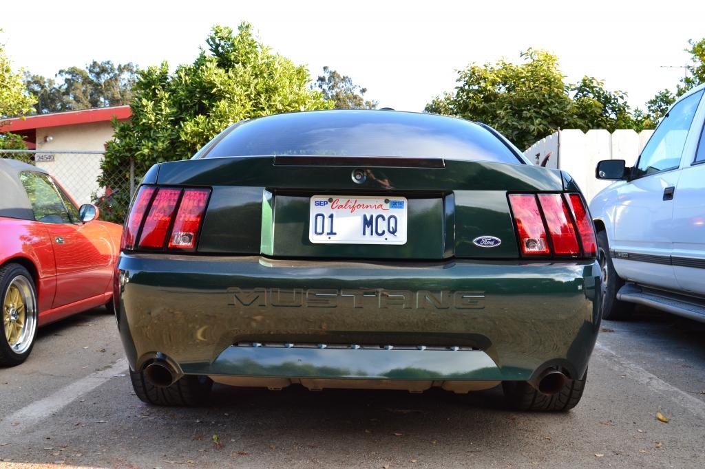 DSC_0043_zpsa1a4303e.jpg
