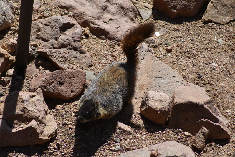 DSC_0044.jpg