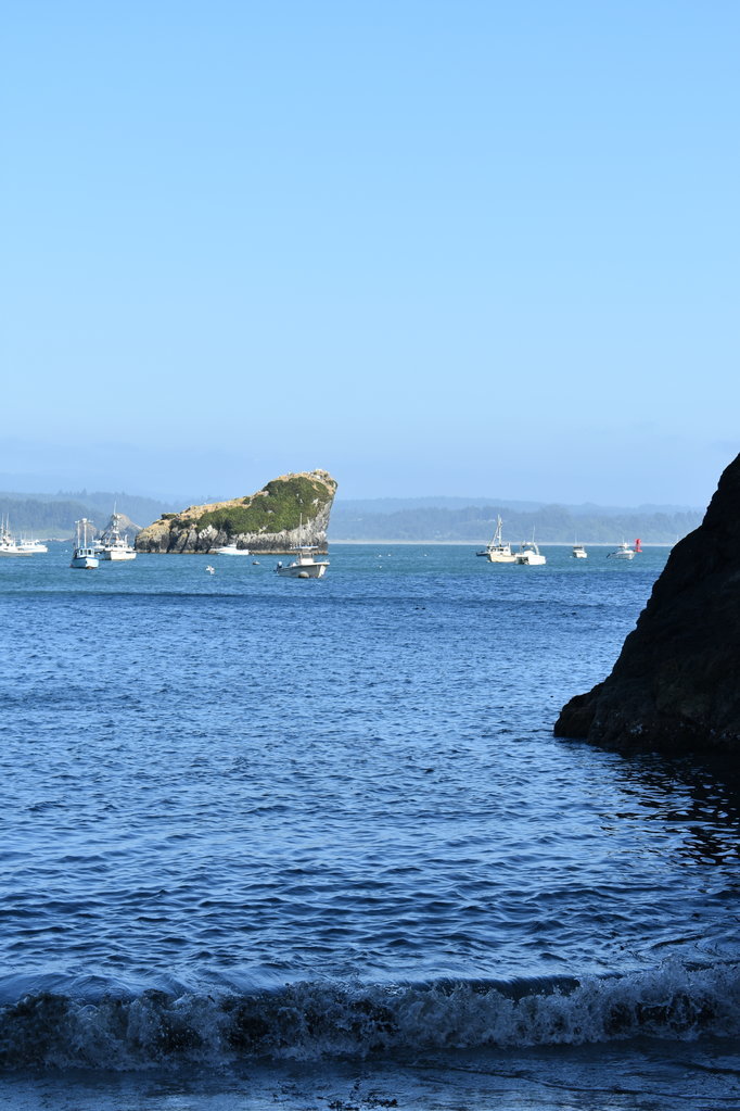 DSC_0044.jpg