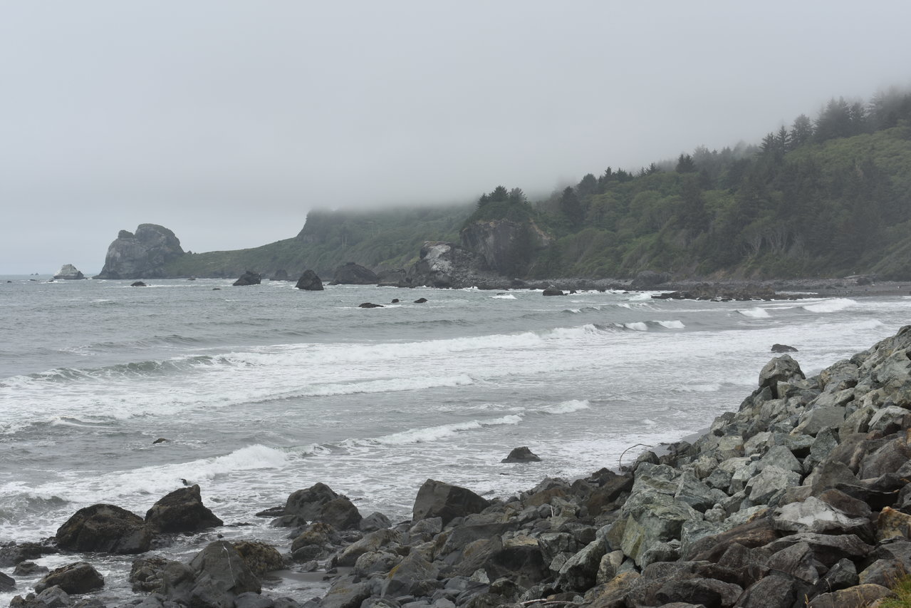 DSC_0044.jpg