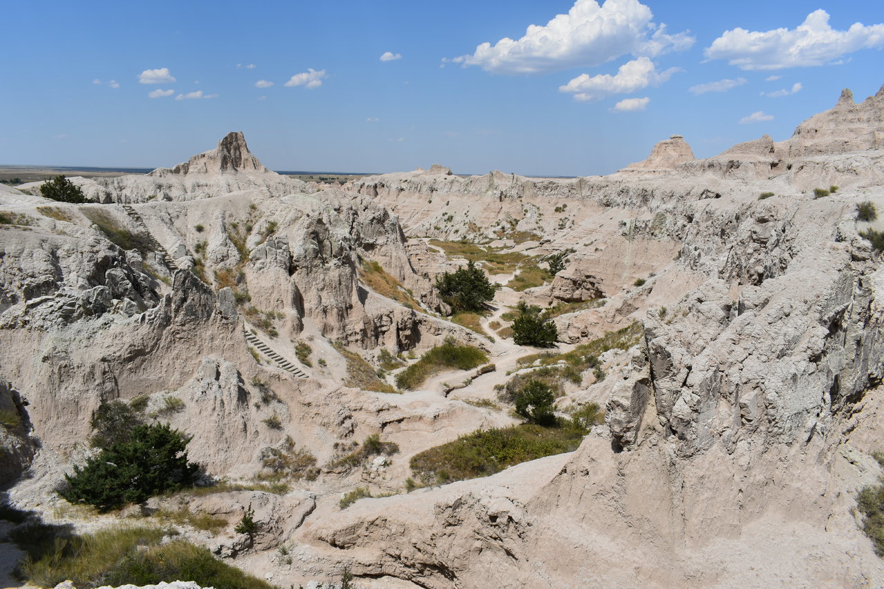 DSC_0044.jpg
