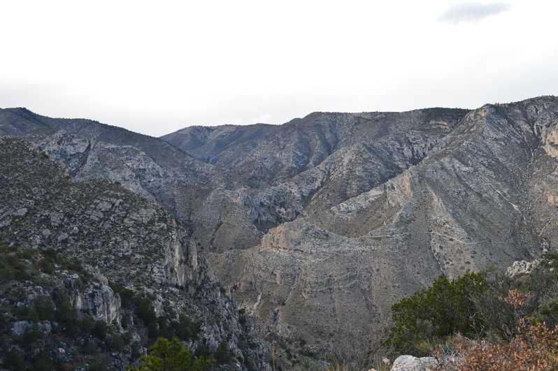 DSC_0045.jpg