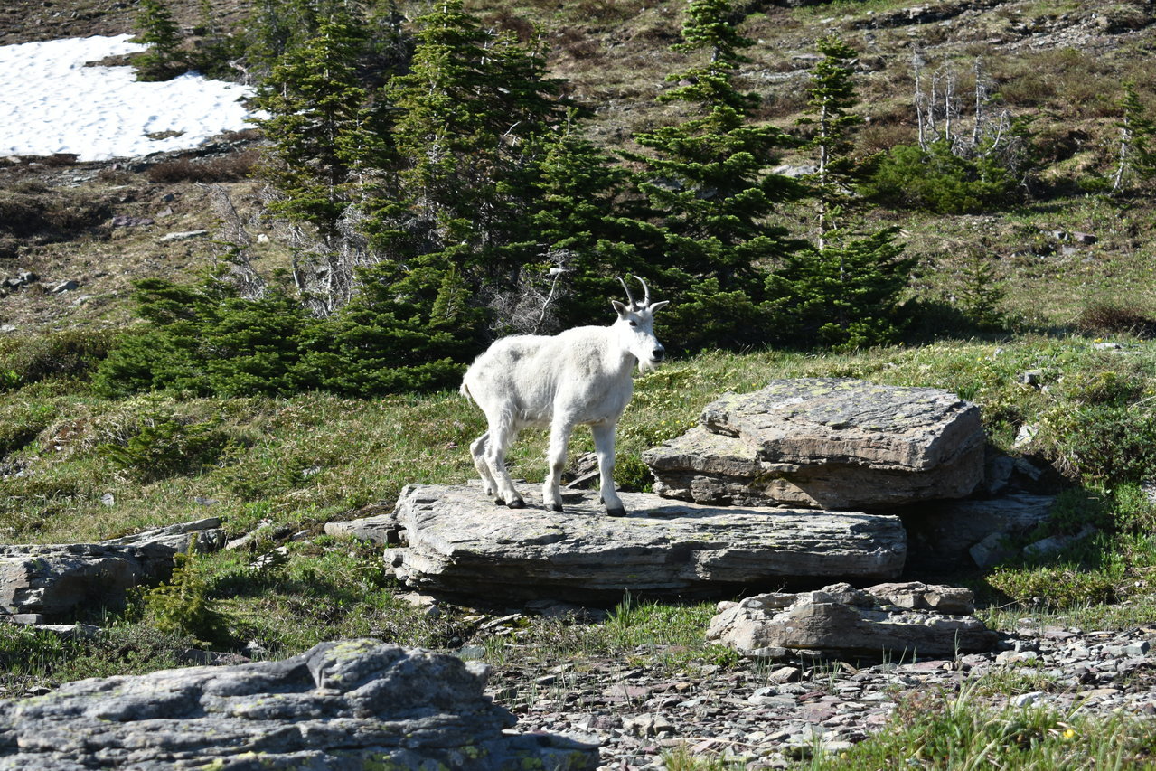 DSC_0045.jpg