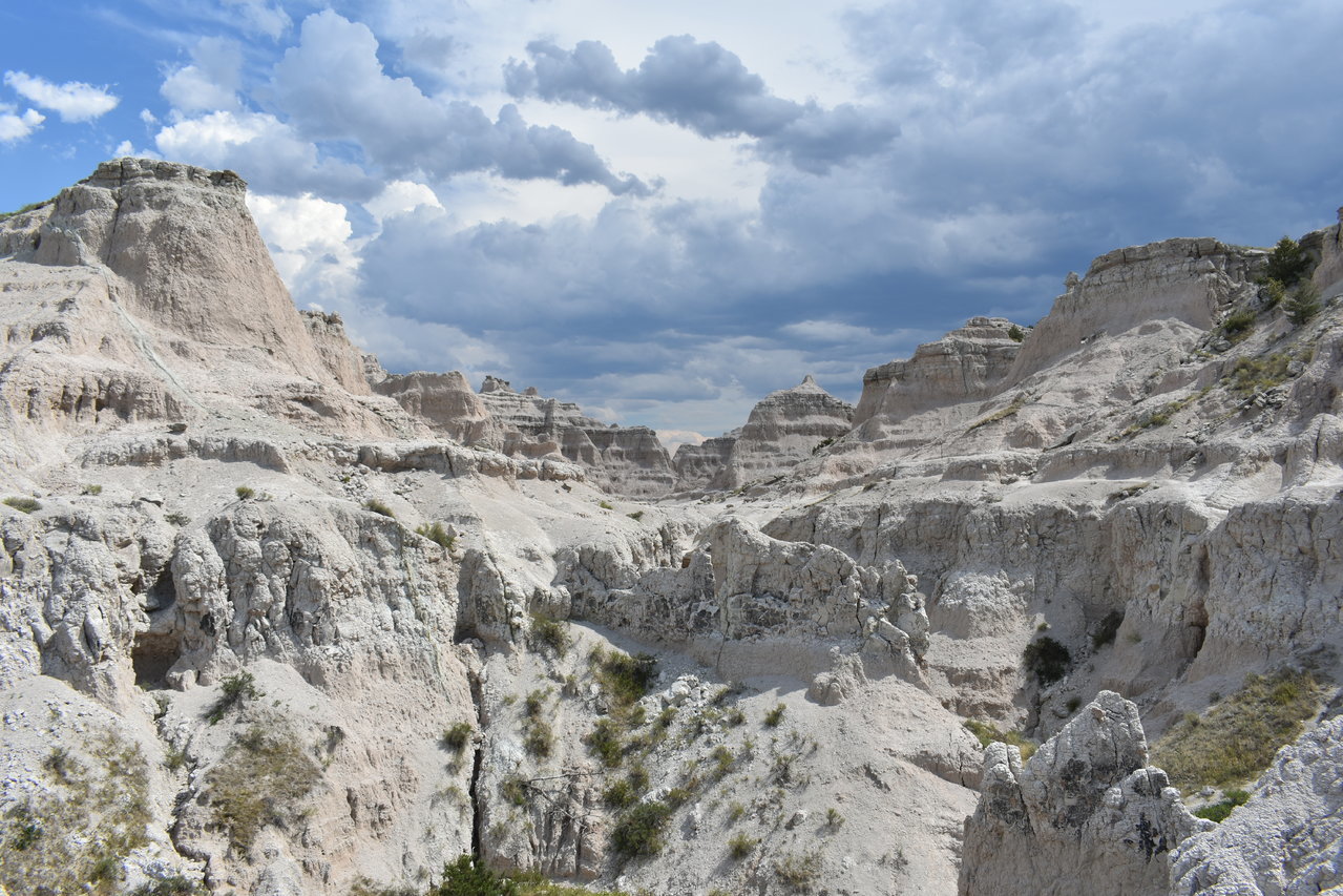DSC_0045.jpg