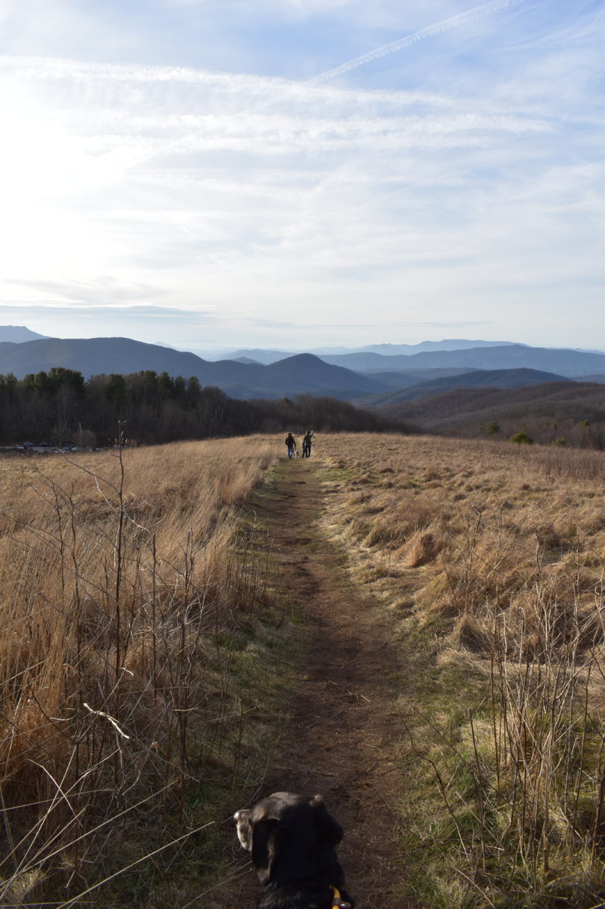 DSC_0045.jpg