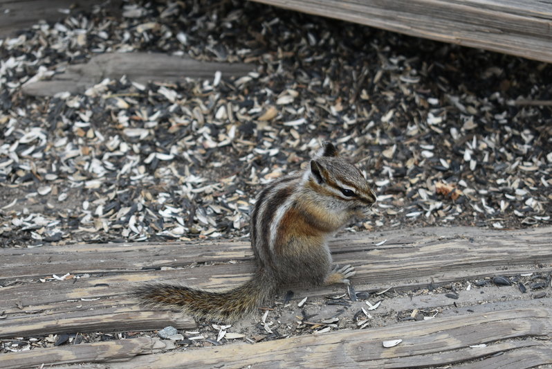 DSC_0047.jpg