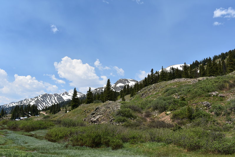 DSC_0047.jpg