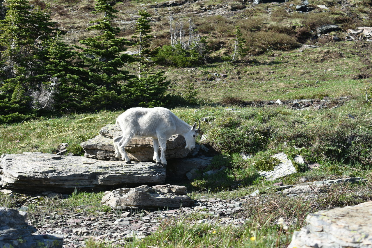 DSC_0047.jpg