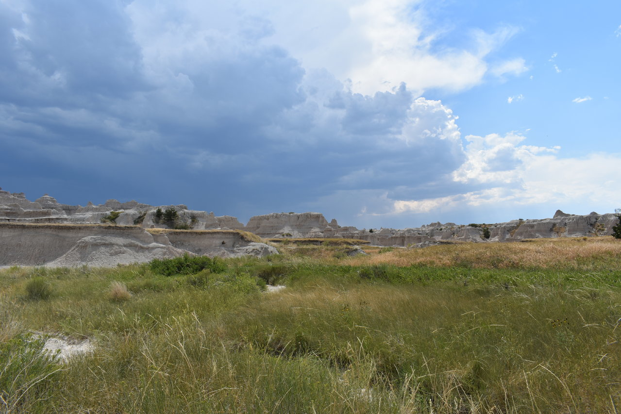 DSC_0047.jpg