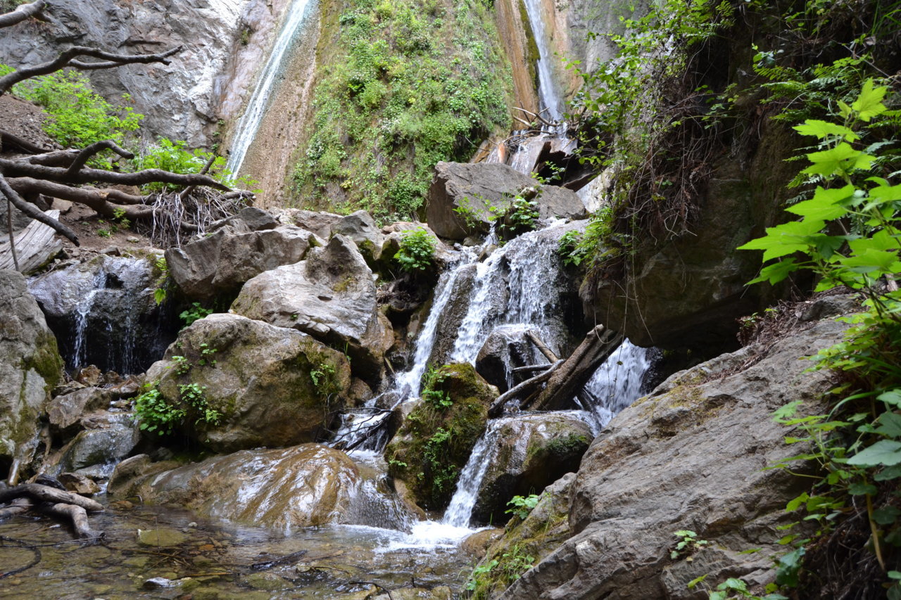 DSC_0047.jpg