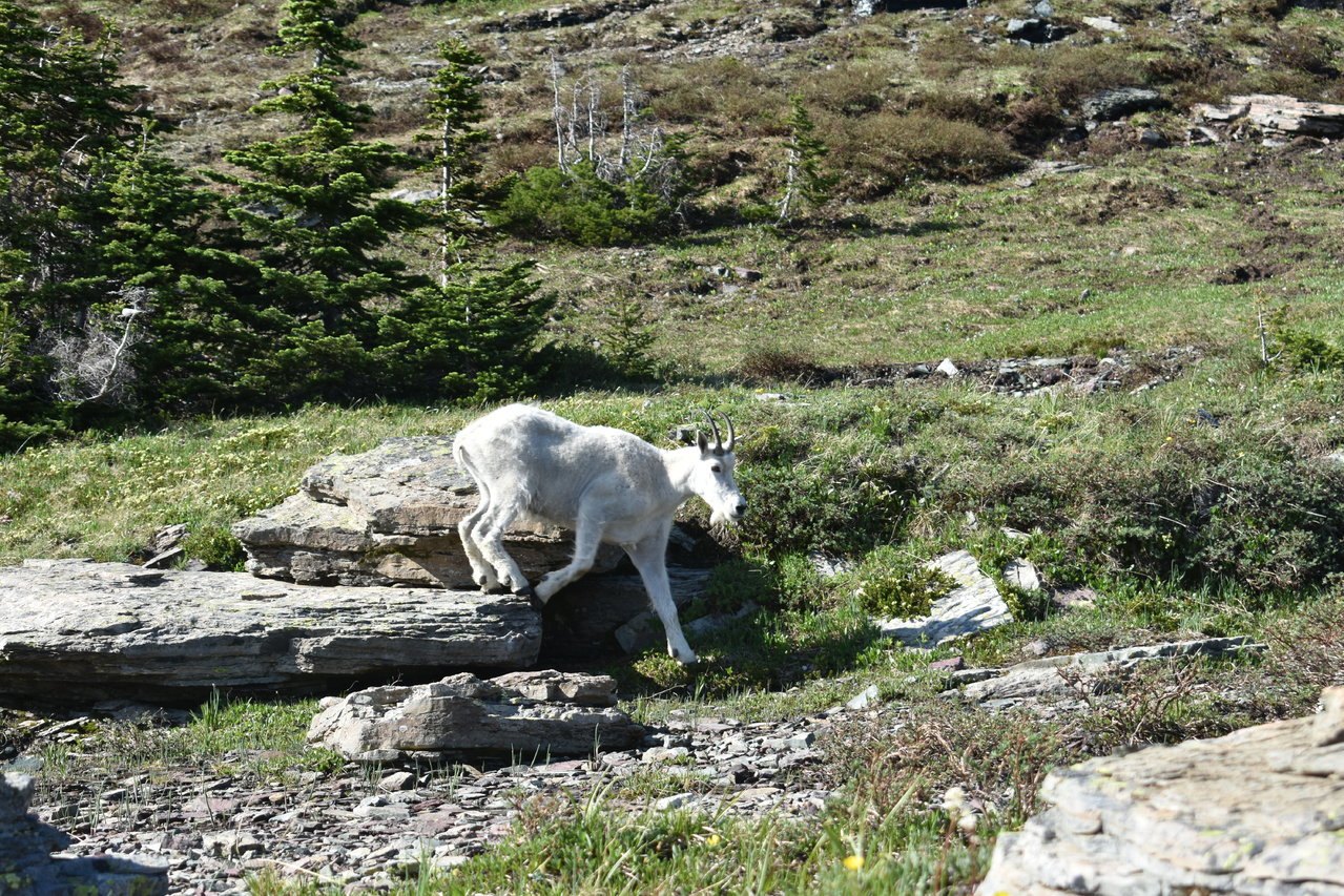 DSC_0048.jpg