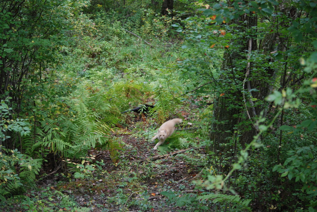 DSC_0048.jpg