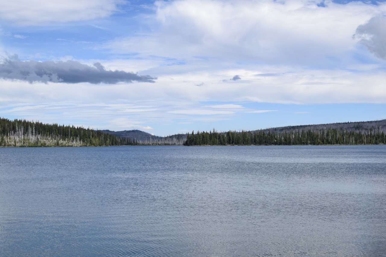DSC_0048.jpg