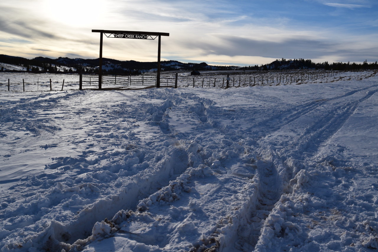 DSC_0048.jpg