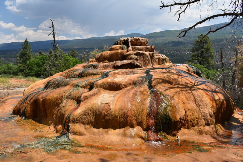 DSC_0049.jpg