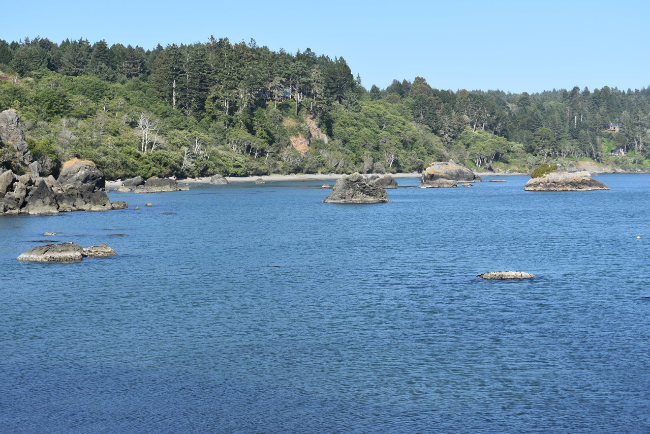 DSC_0049.jpg