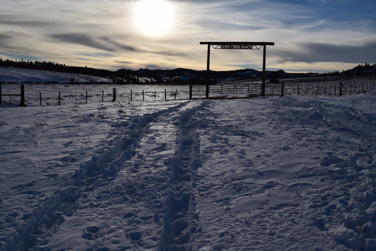 DSC_0049.jpg