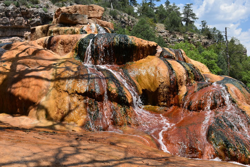 DSC_0050.jpg