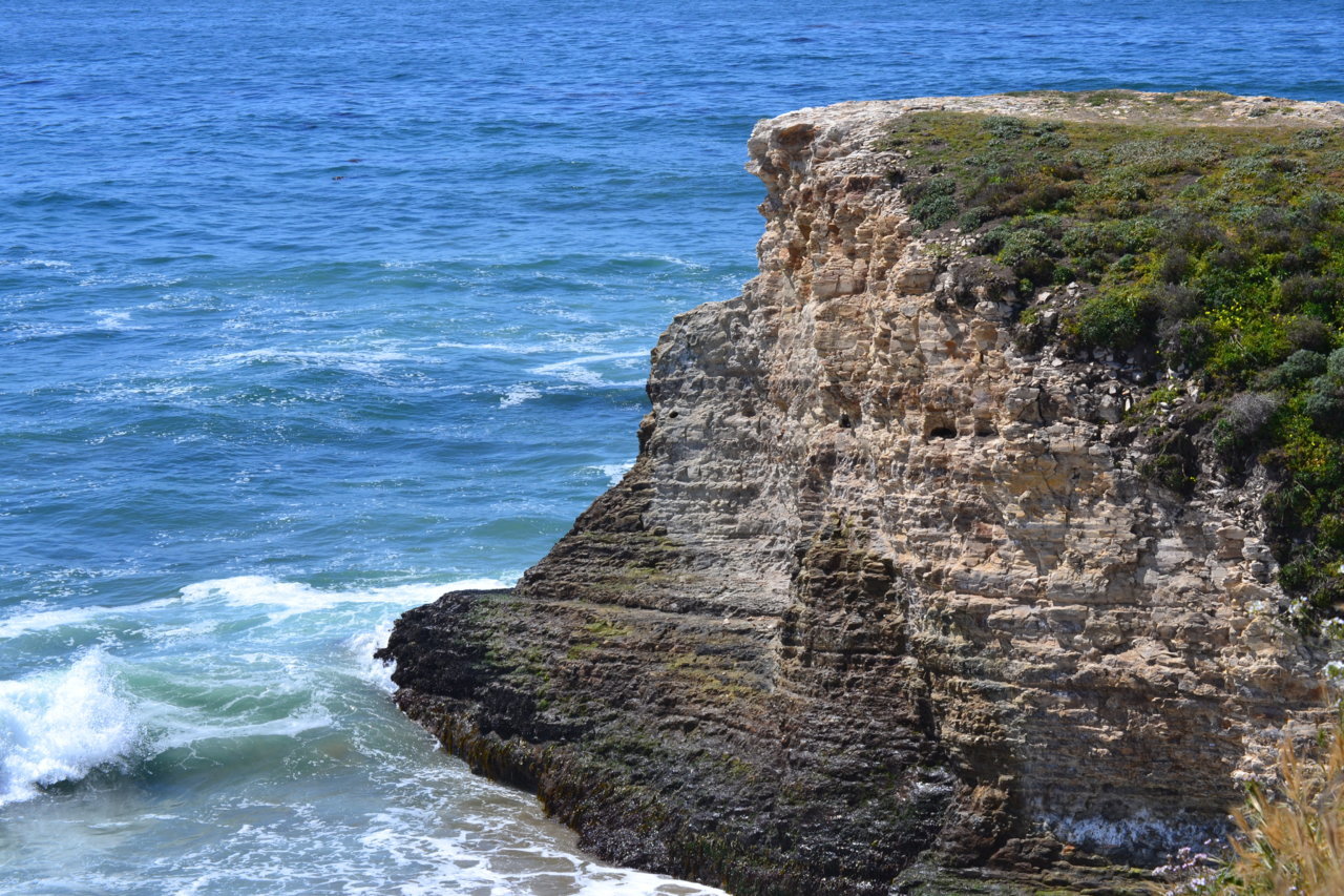 DSC_0050.jpg
