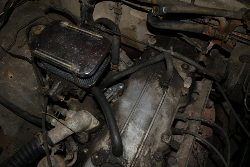 DSC_0051.jpg