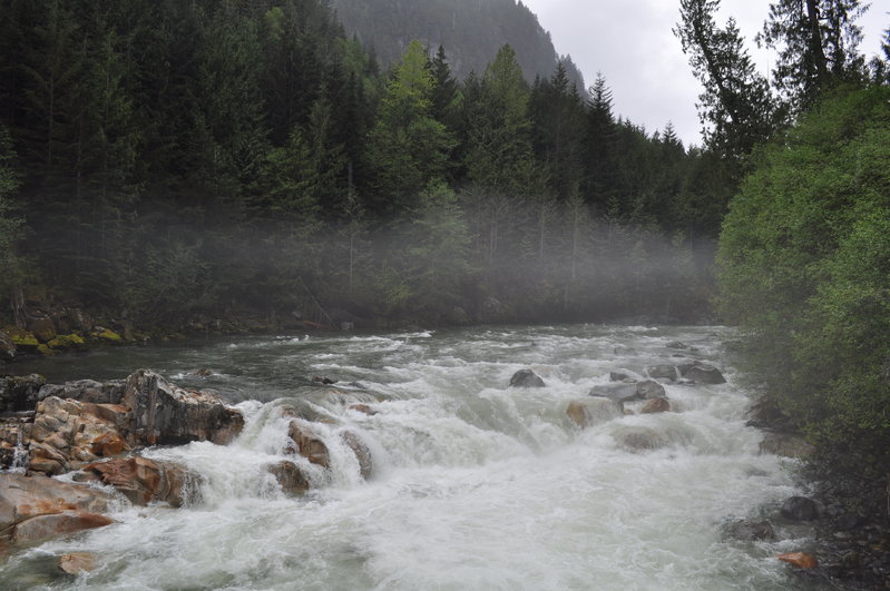DSC_0052.jpg