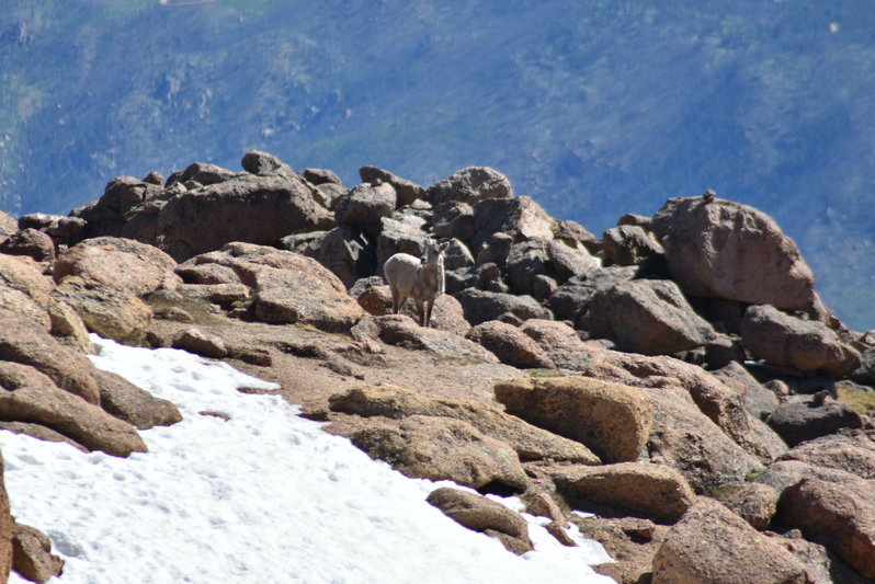DSC_0054.jpg