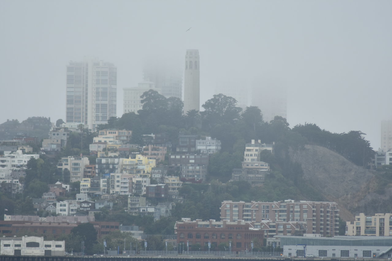 DSC_0055.jpg