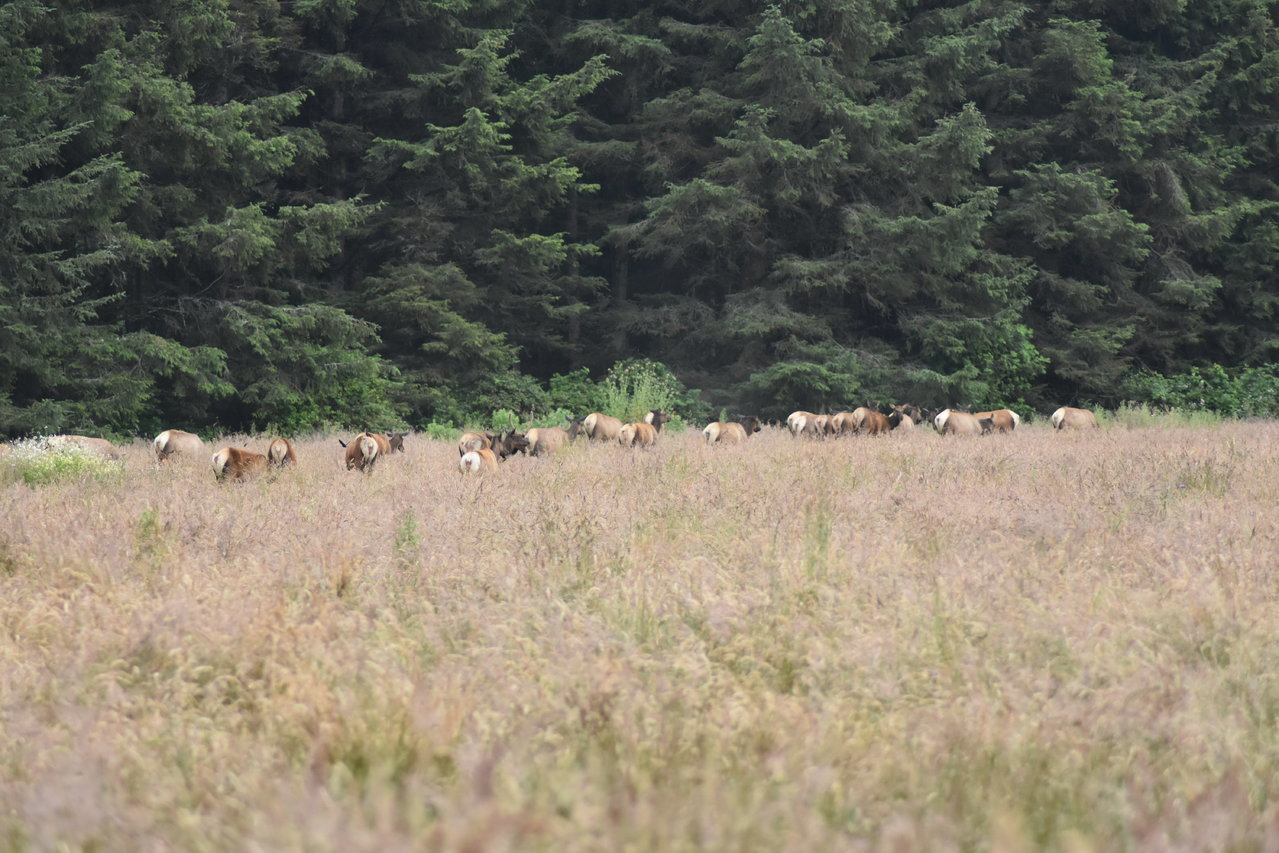 DSC_0055.jpg