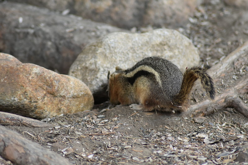 DSC_0059.jpg