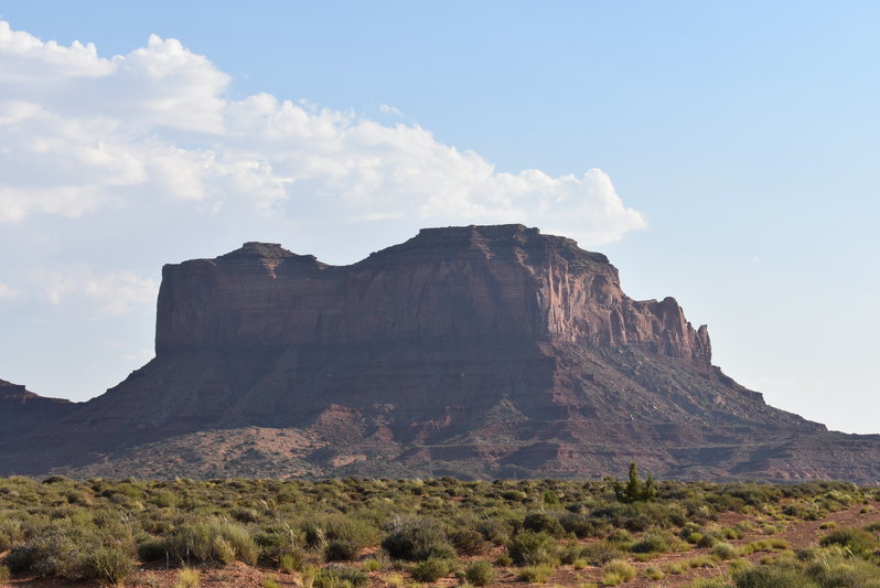 DSC_0059.jpg